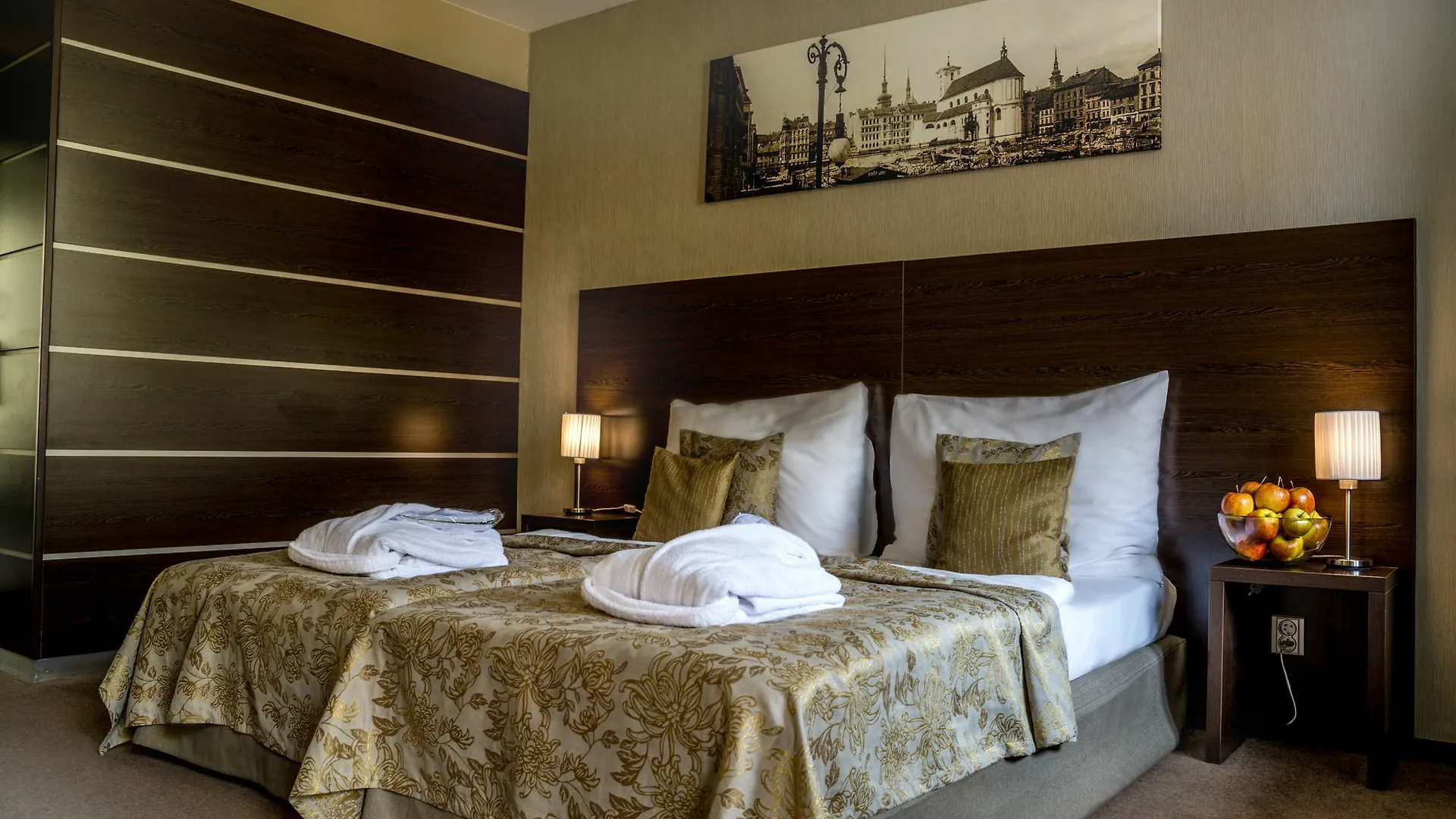 Old Town Hotel Brno
